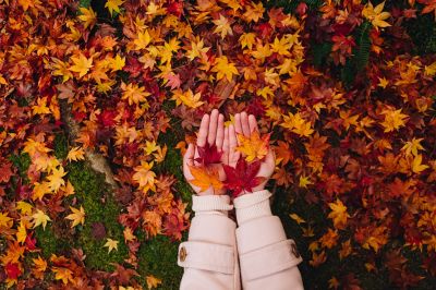 5 redenen om de tuin niet winterklaar te maken