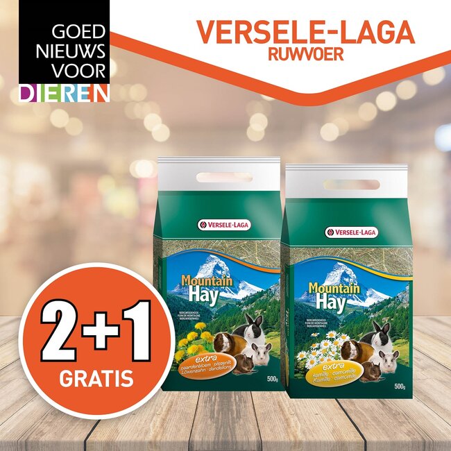 VL Bergweidehooi