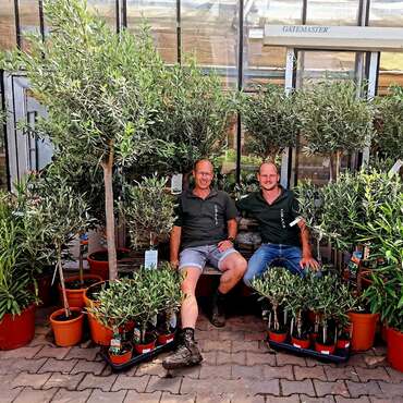 Tuinplanten